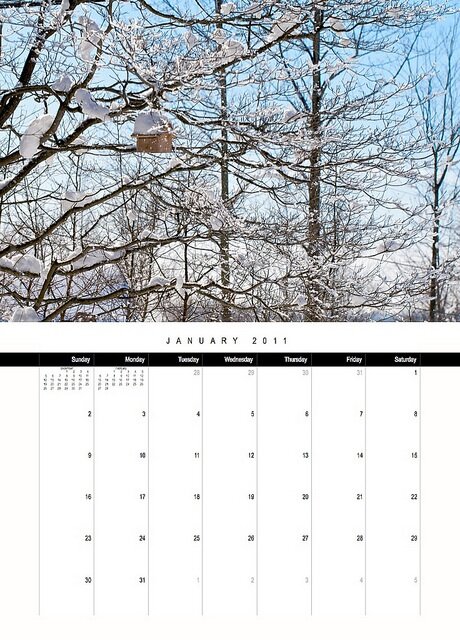 Calendar Pictures For January. January 2011 calendar page.