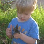Toddler with butterfly