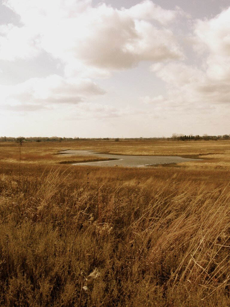 Illinois prairie with stream.