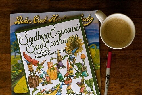 Seed catalogs and coffee.