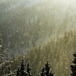 Shimmering snow falling through mountain pines.