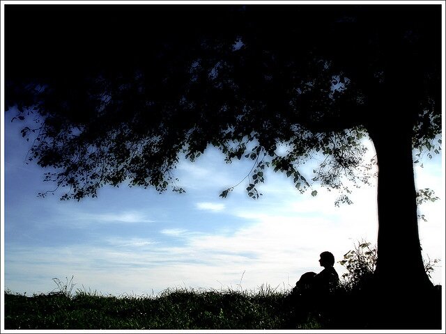 Silhouette of a man waiting under a tree.