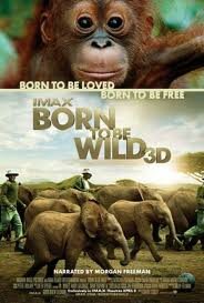 Born to be Wild movie