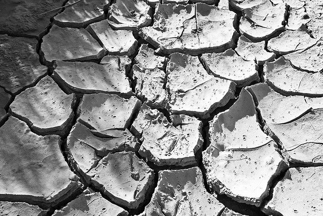 Cracked soil in a drought.